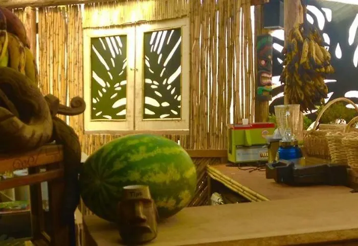 Tiki Lounge Bed and breakfast Cuzco